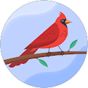 muhammad mohsan profile picture